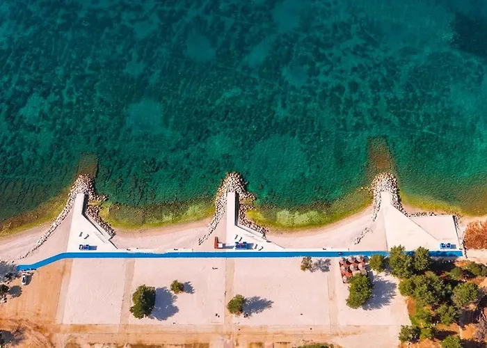 Dina Pula