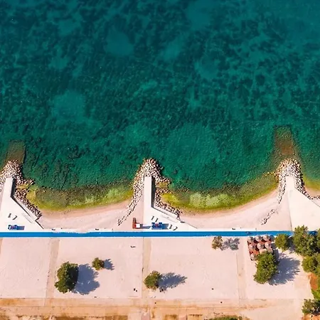 Dina Pula