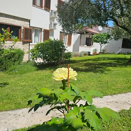 Dina Apartment Pula