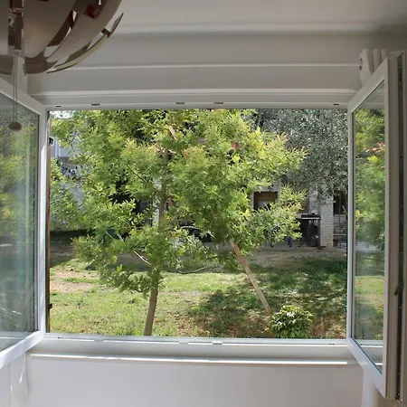 Dina Apartment